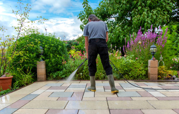 Best Soft Washing for Delicate Surfaces in Burley, ID