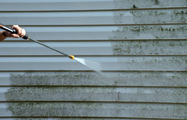 Best Driveway Cleaning and Restoration in Burley, ID